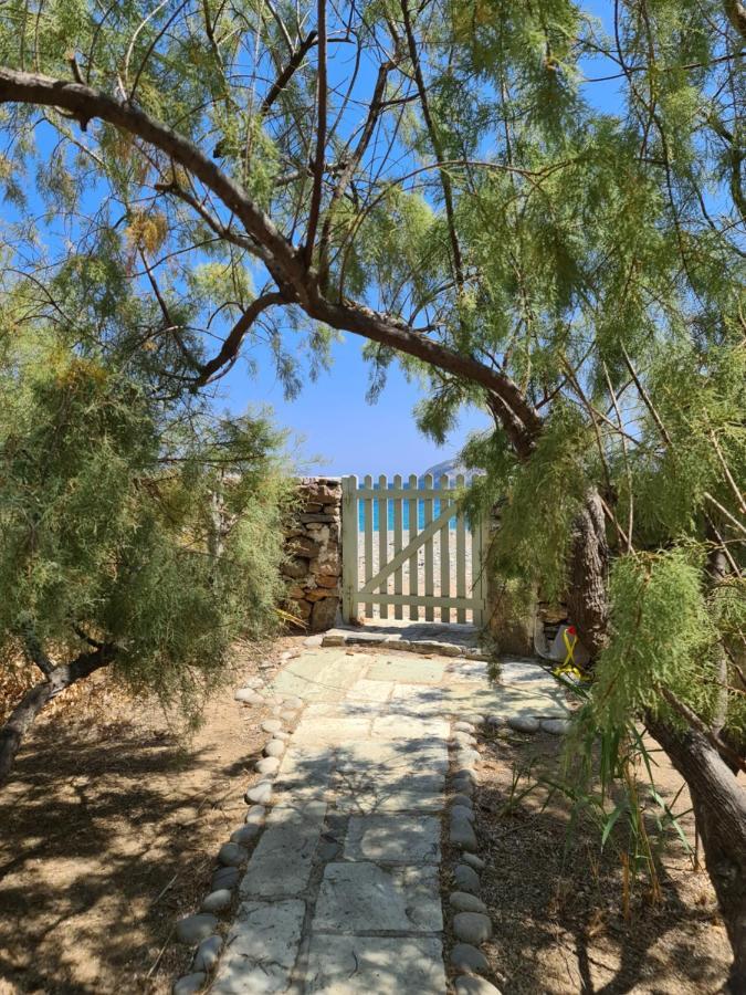 Nature Eco Living Serifos Livadi  Luaran gambar